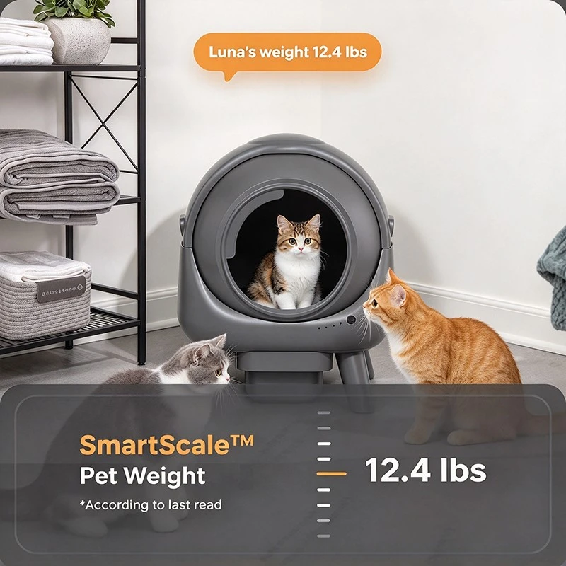 Track your cat's weight trends