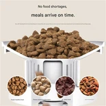 Smart Automatic Pet Feeder With Timer